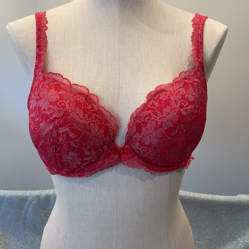 Victoria’s Secret Angels 34D Lace Bra